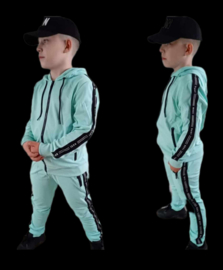 Icon sea green.