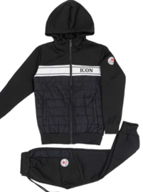Icon.