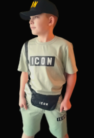 Icon green.