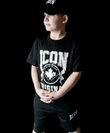 Icon original flag.