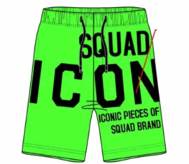 icon green.