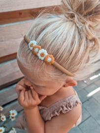 Diadeem Daisy autumn collour