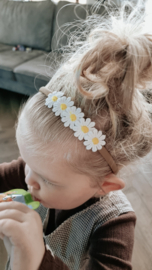 Diadem daisy