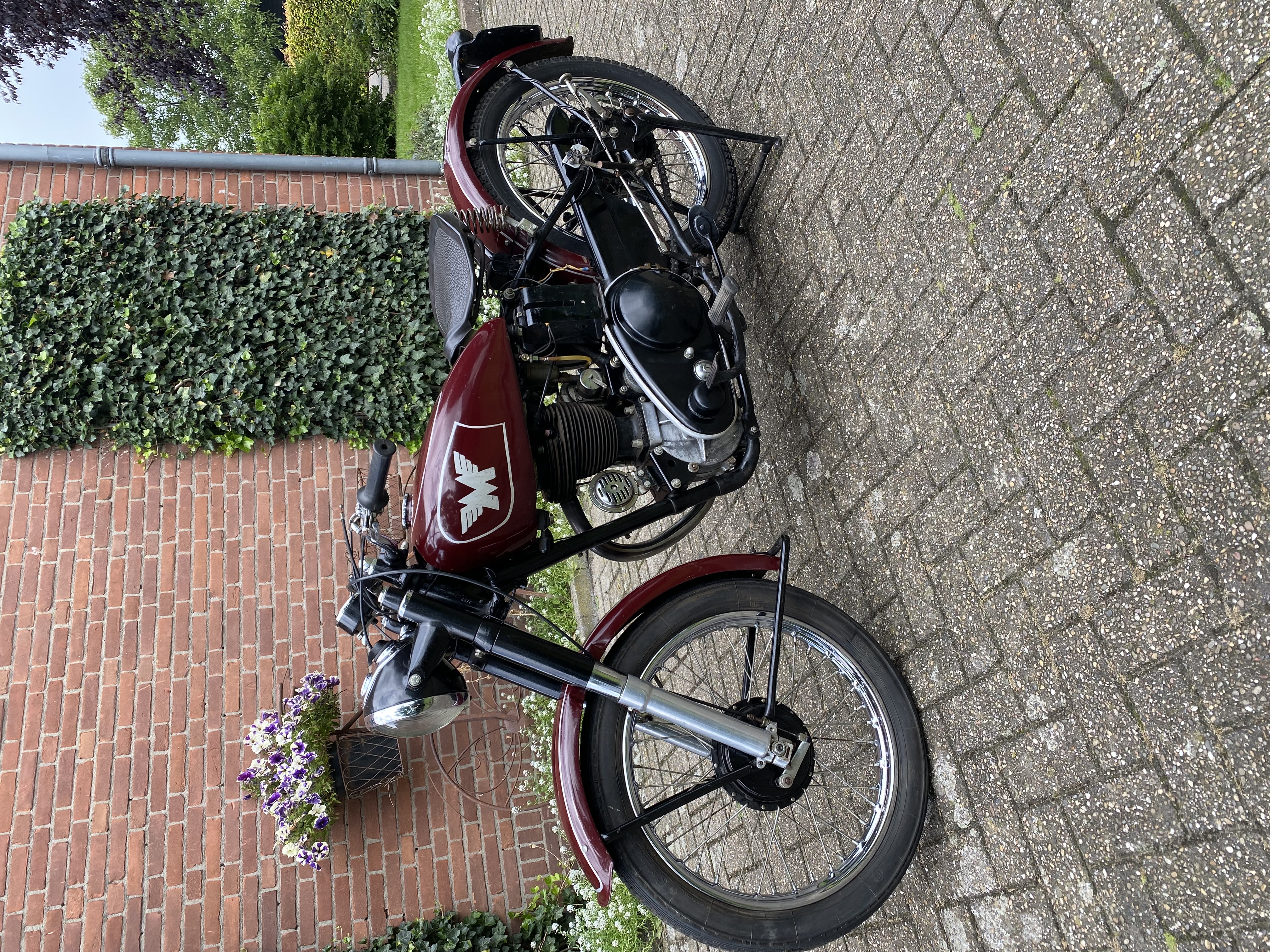 Matchless g3l