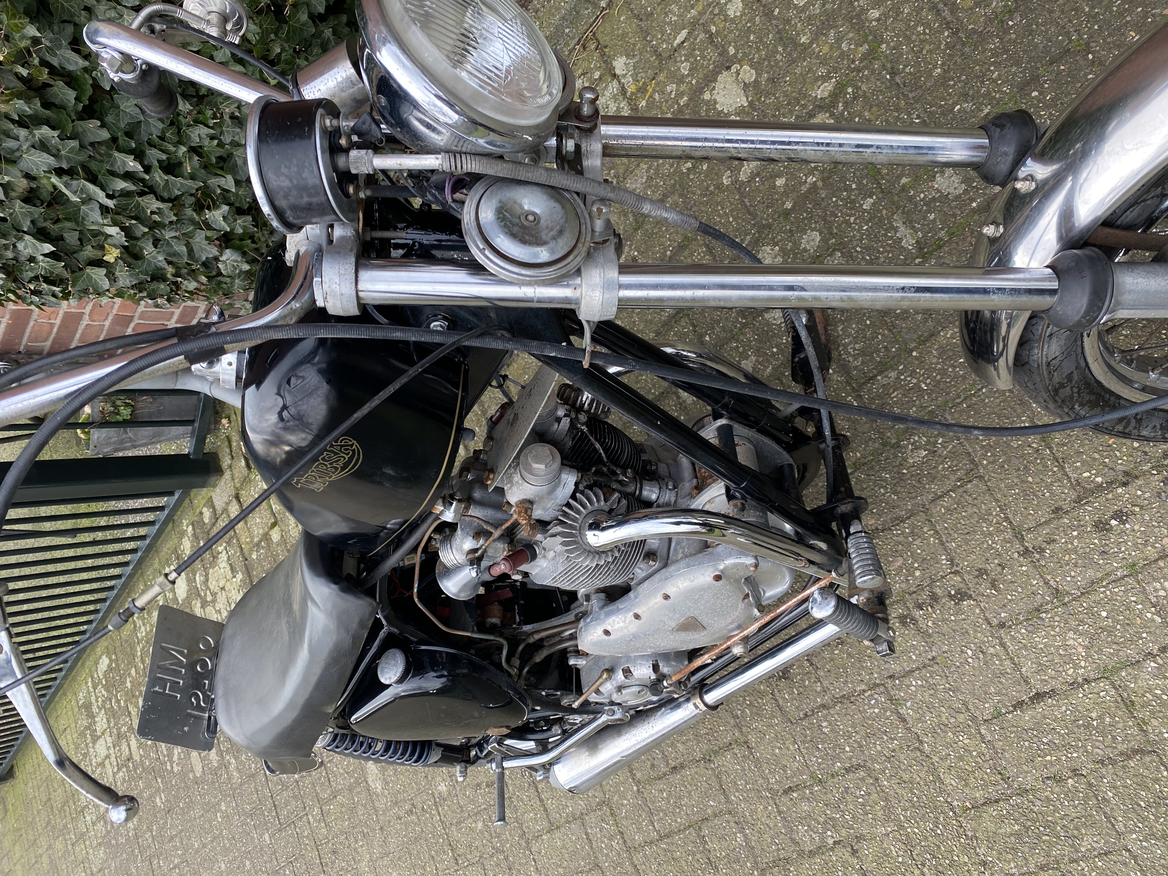 Tribsa