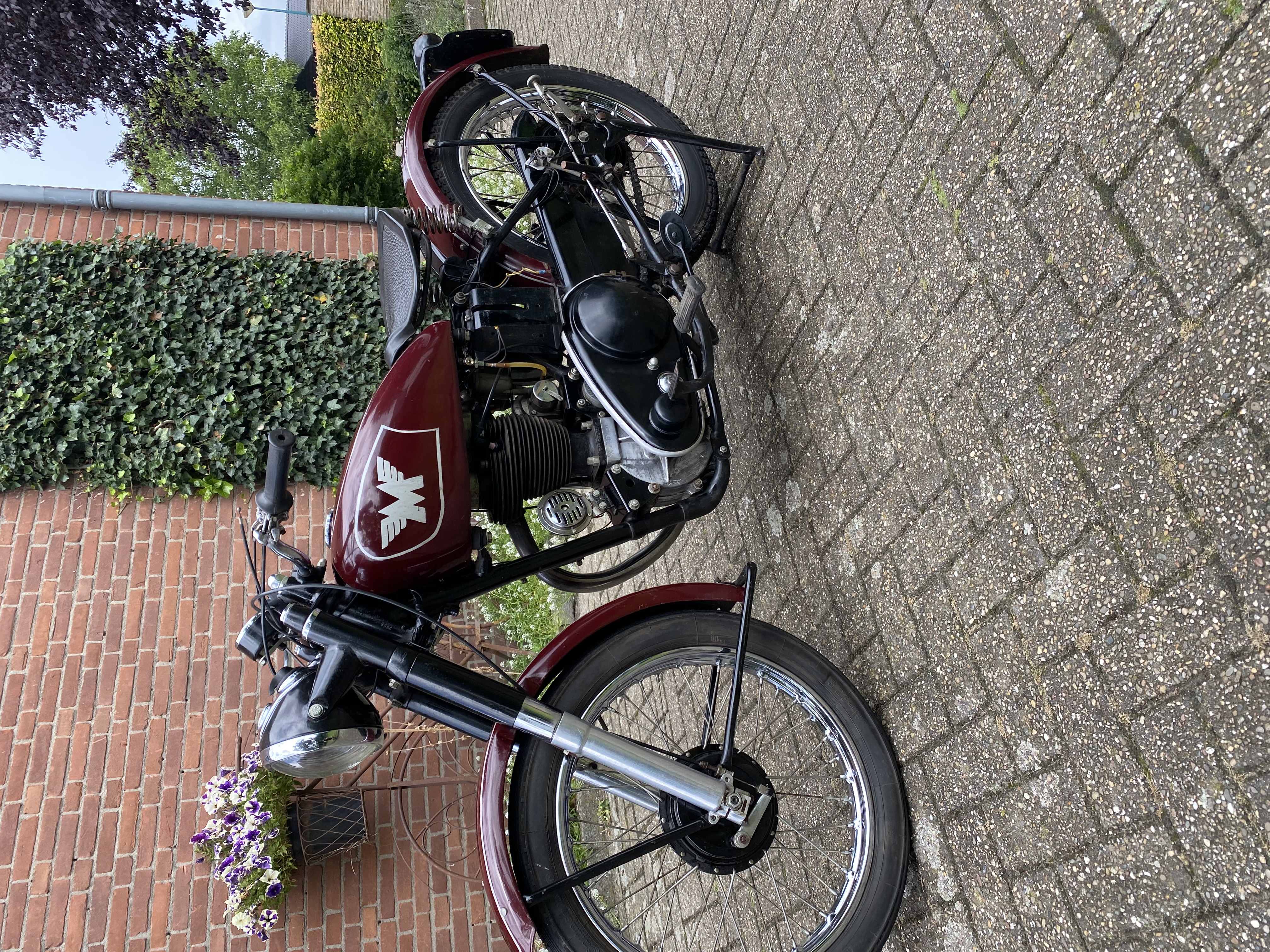 Matchless g3l