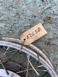 Adler wiel