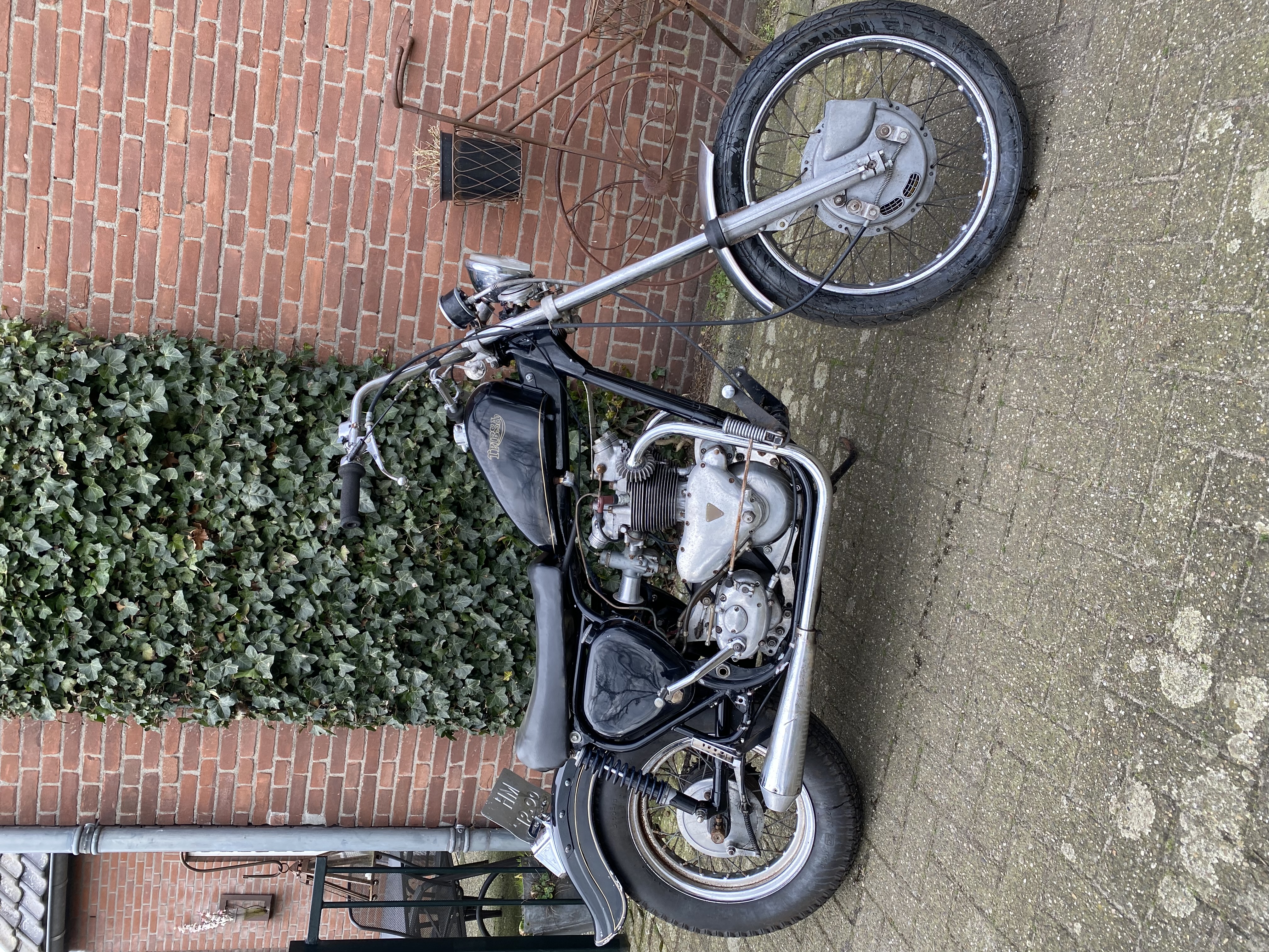 Tribsa
