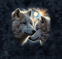 Moonlit Wolves Tumbler