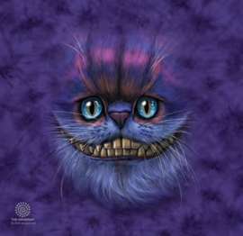 Big Face Cheshire Cat Tumbler