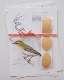 3x Handmade envelop - Vogels