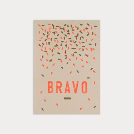 Paperwise kaart - Bravo