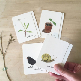 Set van 8 mini kaartjes - Tuin