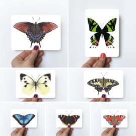 Vlinder kaart | meerdere keuzes