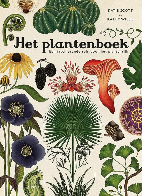 Het Plantenboek | Kathy Willis Katie Scott