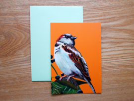 House sparrow postcard with envelope