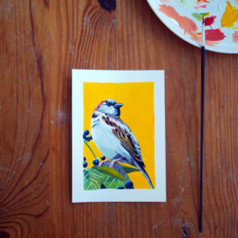 House sparrow gouache painting