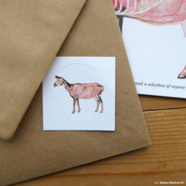 Anatomie van een geit: wenskaart met envelop