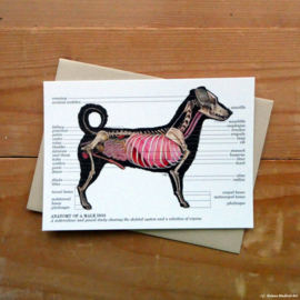 Anatomie van een hond: kaart met envelop