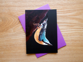 Nuthatch postcard with envelope