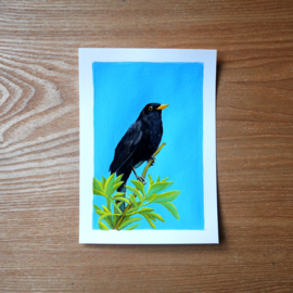 Blackbird gouache painting