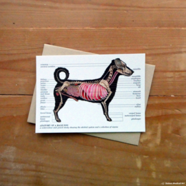 Anatomy of a dog: greeting card with envelope