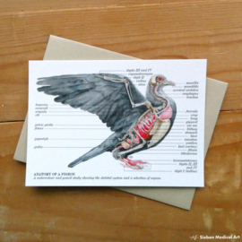 Anatomy of a pigeon: greeting card with envelope