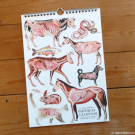 Animal anatomy Birthday calendar