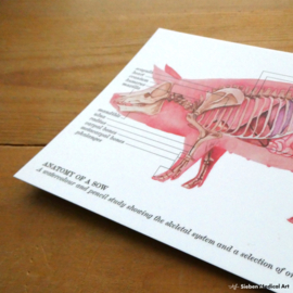 Anatomy of a pig: greeting card with envelope