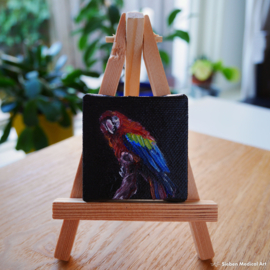 Scarlet Macaw tiny oil painting, 5x5 cm