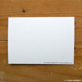Anatomy of a dog: greeting card with envelope