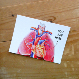 You are here: colourful medical illustration greeting card with envelope