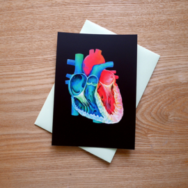 Anatomisch hart kaart met envelop