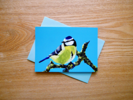 Blue tit postcard with envelope