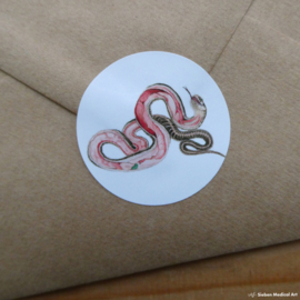 Anatomy of a grass snake: greeting card with envelope