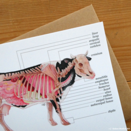 Anatomy of a dairy cow: greeting card with envelope