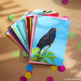 Garden birds greeting cards, set of 10