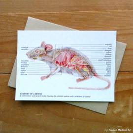 Anatomie van een muis: wenskaart met envelop