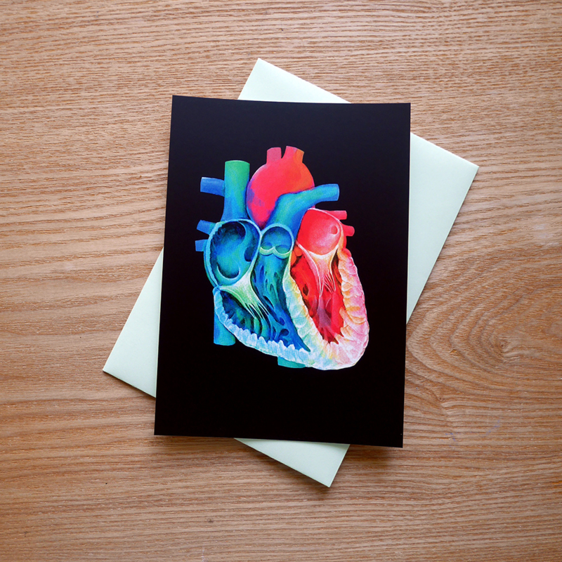 Heart anatomy greeting card with envelope