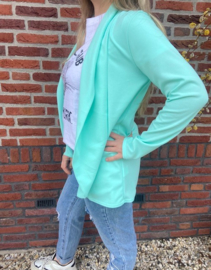 BASIC BLAZER - TURQUOISE
