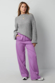 PANTALON BEAU - PAARS