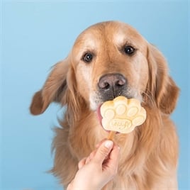 SMOOFL IJSMIX VOOR HONDEN PINDAKAAS 160 GR