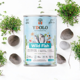 Ydolo natvoer Wild fish