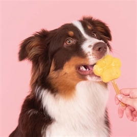 SMOOFL IJSMIX VOOR HONDEN APPEL 160 GR