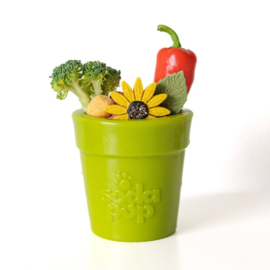 Sodapup Flower Pot Large – Green