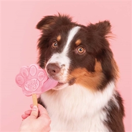 SMOOFL IJSMIX VOOR HONDEN WATERMELOEN 160 GR
