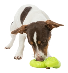 TRIXIE SNACK-SLANG TPR OPGEROLD 18 CM