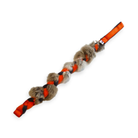 Rabraid