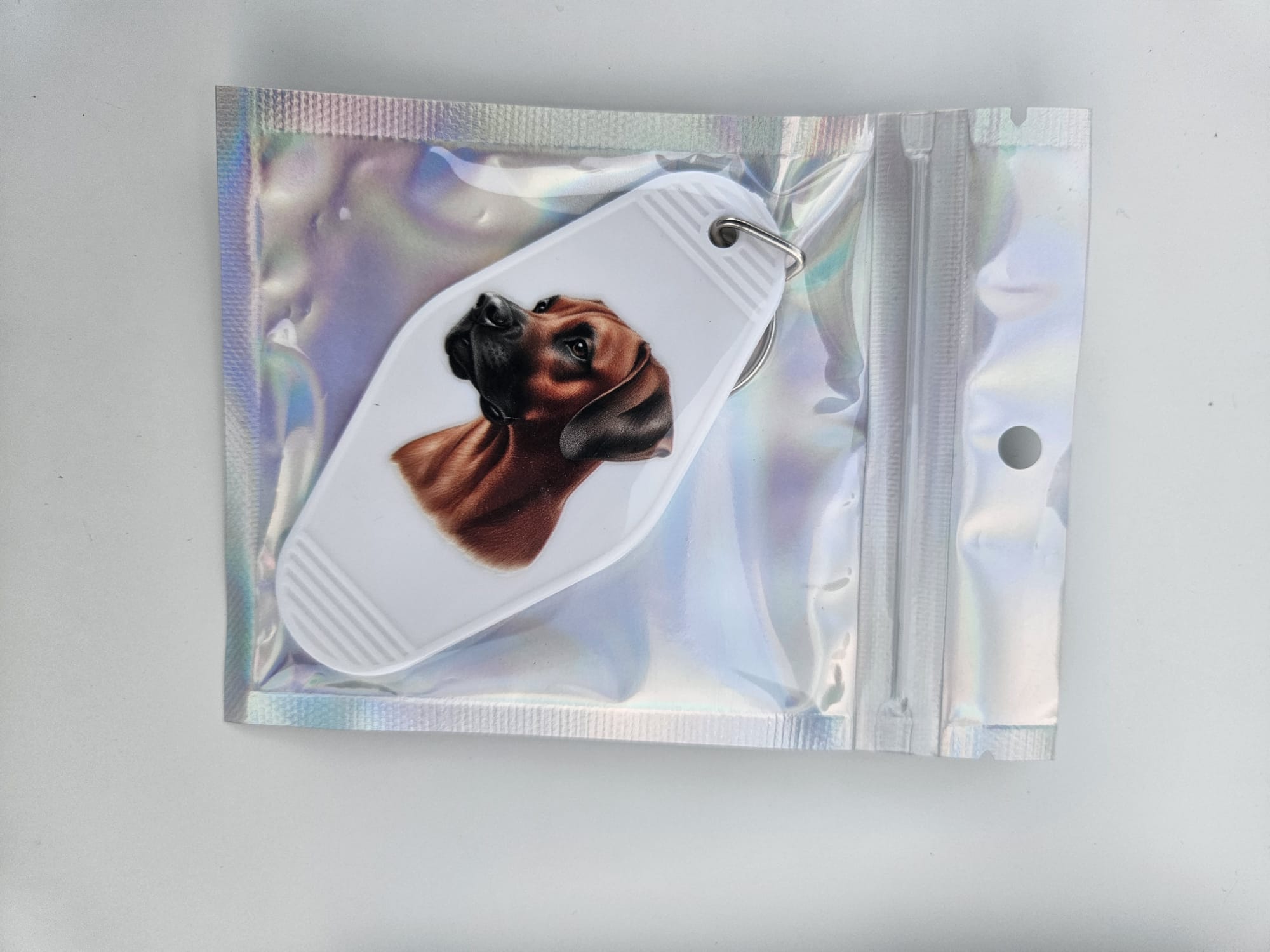 Mooie handgemaakte sleutelhanger met Rhodesian Ridgeback
