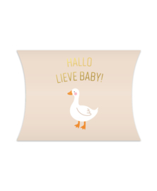Gondeldoosjes | Hallo lieve baby!